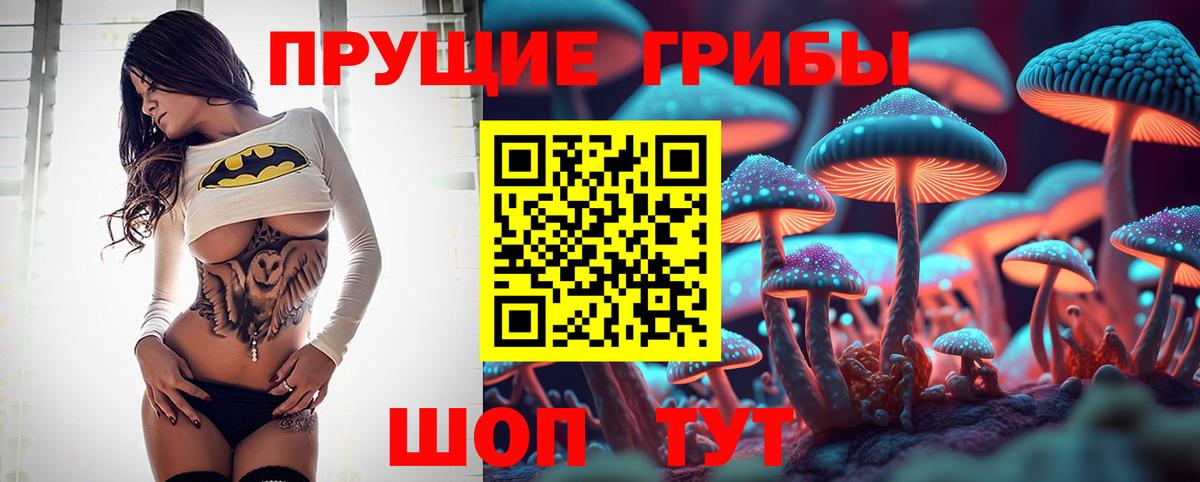 Псилоцибиновые грибы GOLDEN TEACHER  Вход с VPN  Галлюциногенные грибы ЛСД  Электрогорск 