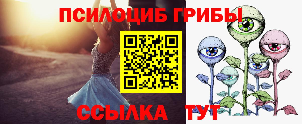 Галлюциногенные грибы Psilocybe Электрогорск